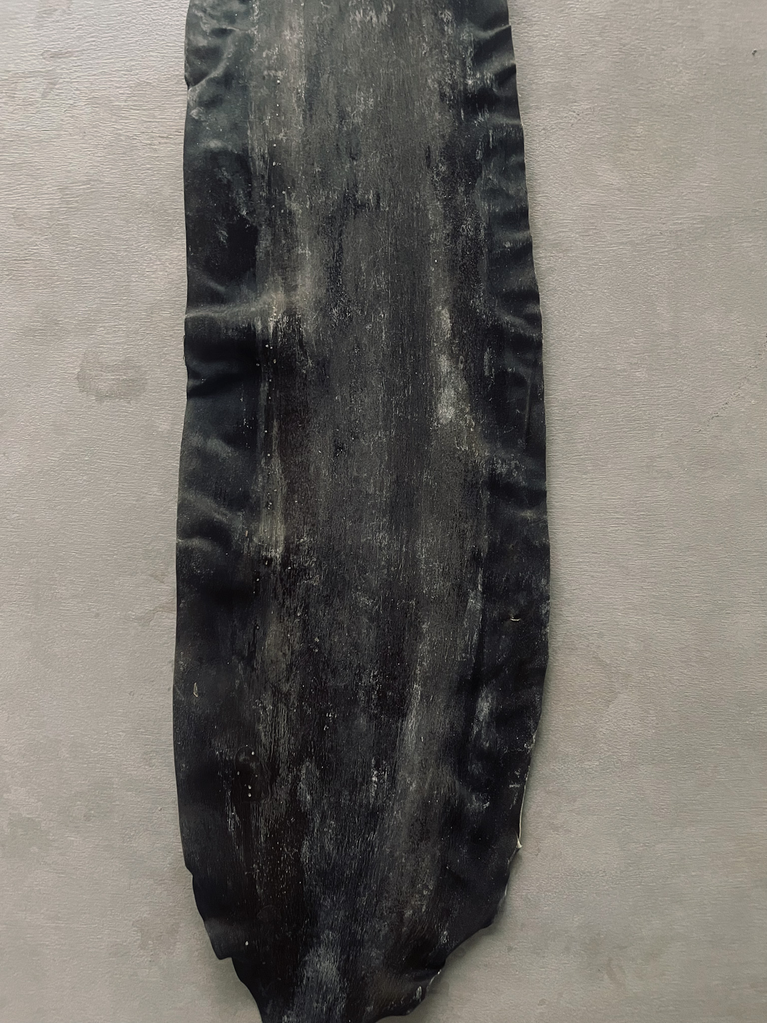 クリエイターの黒い愛用品 vol.022 蓮池陽子さん