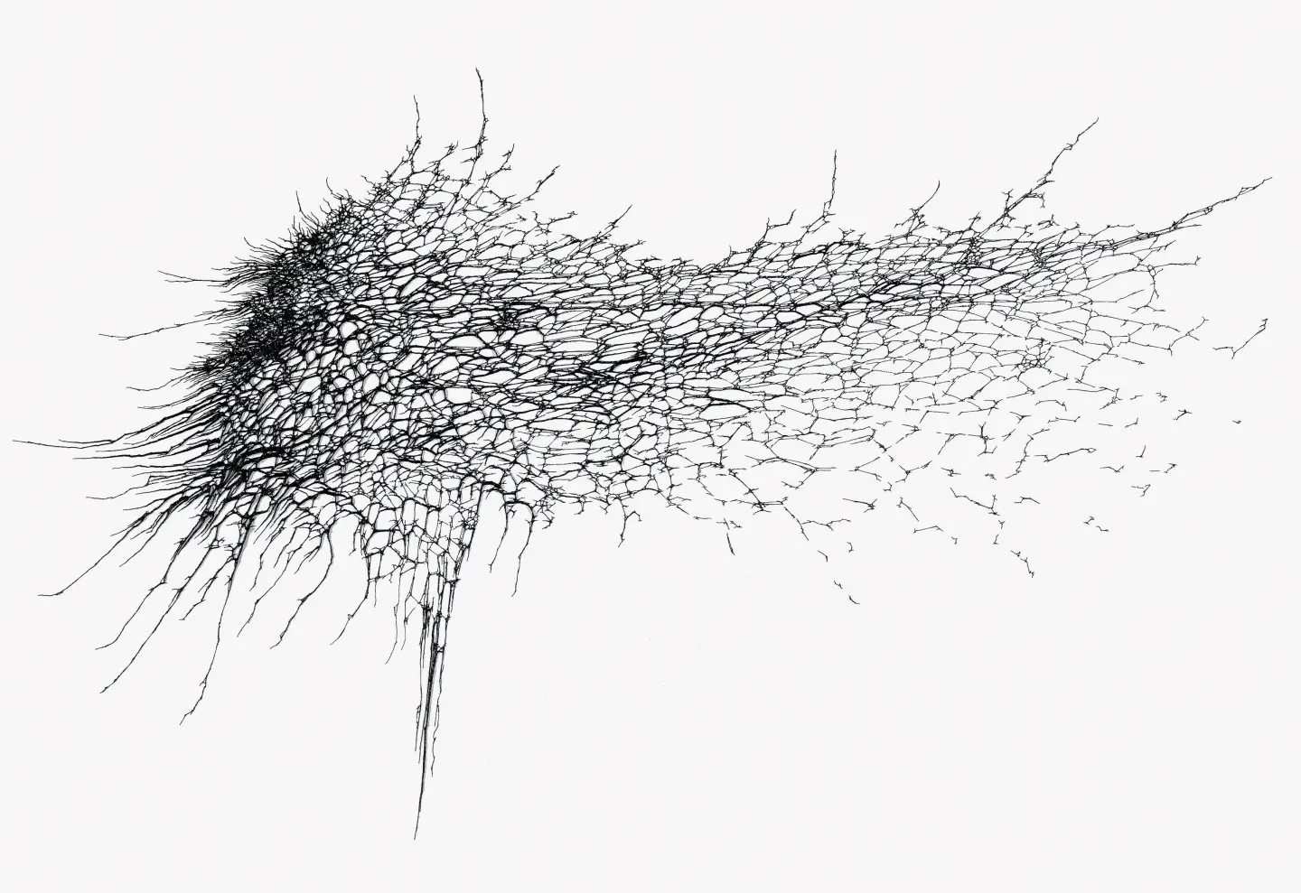 黒を媒介し、立ち上がる知覚｜名和晃平 INTERVIEW - 黒の研究所