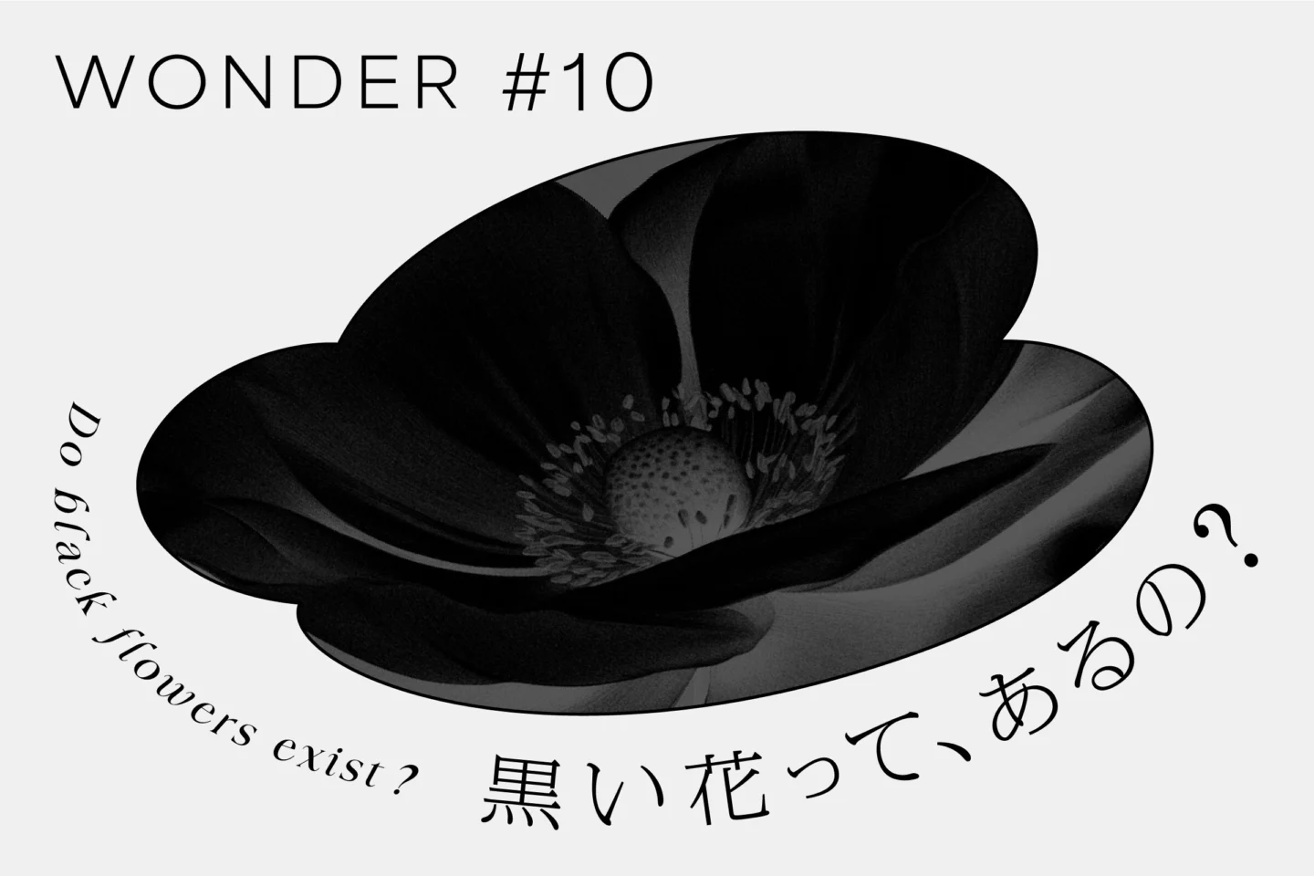 WONDER - 黒の研究所